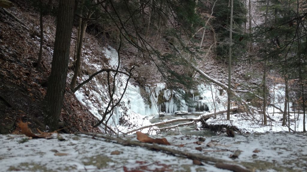 A waterfall is partly hidden behind snow-covered trees.
