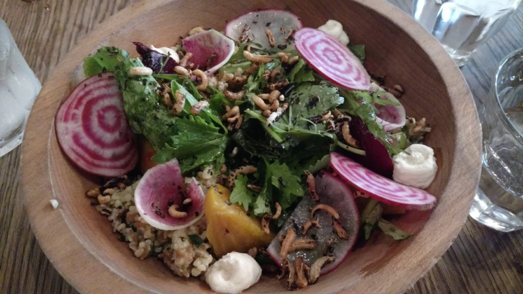 A side salad served with a sandwich.
