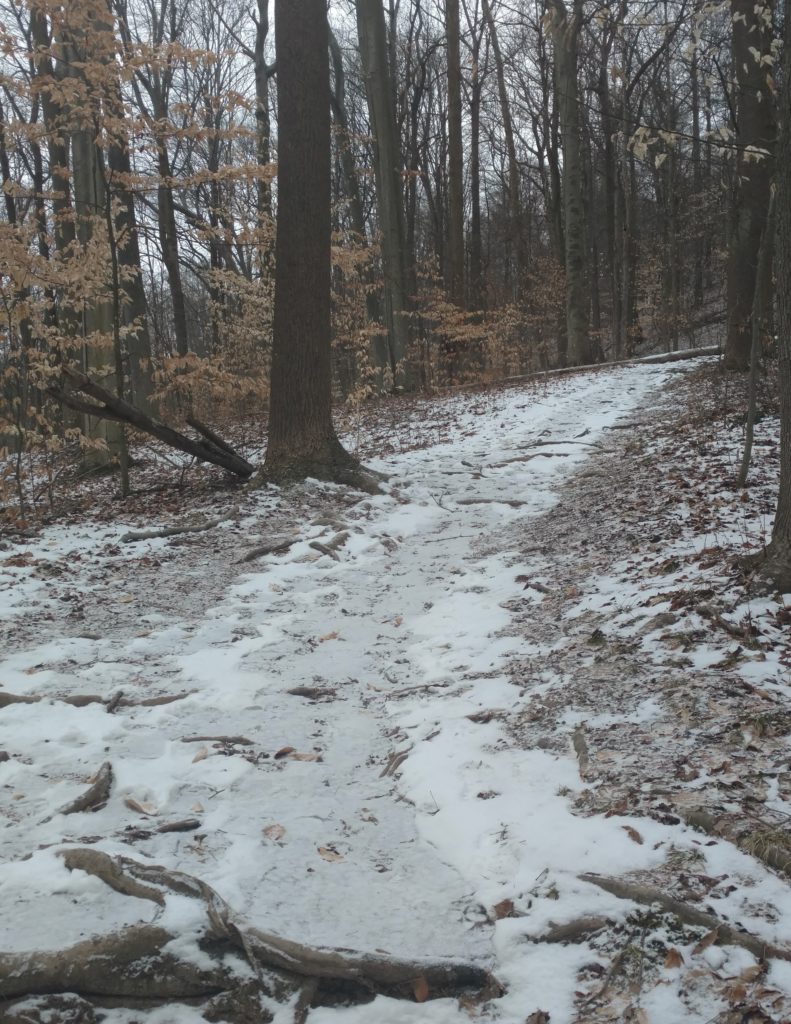 Snow-covered Buckeye Trail winds through leafless trees in Cuyahoga Valley National Park.